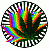 Avatar de Resv