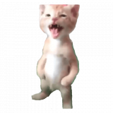 Avatar de Bornsito11