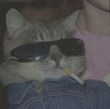 Avatar de Froyax